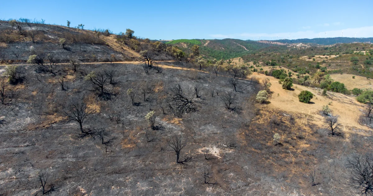 alterações climáticas